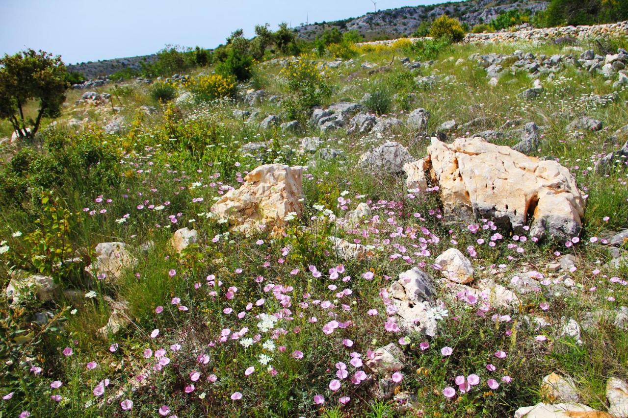 Villa Zlatno Sunce In The Hills Near Trogir Vrsine المظهر الخارجي الصورة