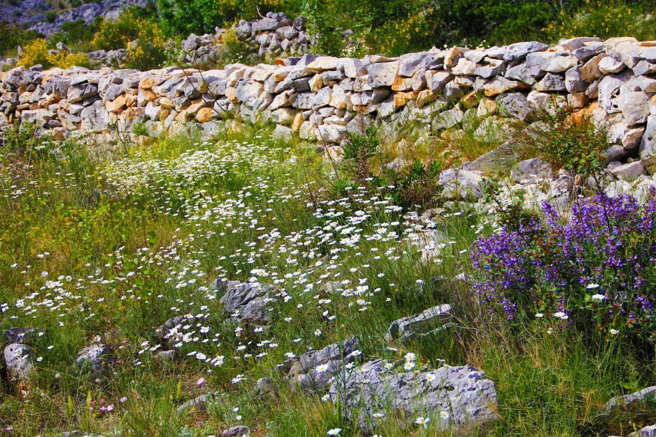 Villa Zlatno Sunce In The Hills Near Trogir Vrsine المظهر الخارجي الصورة
