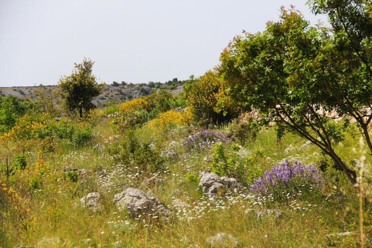 Villa Zlatno Sunce In The Hills Near Trogir Vrsine المظهر الخارجي الصورة