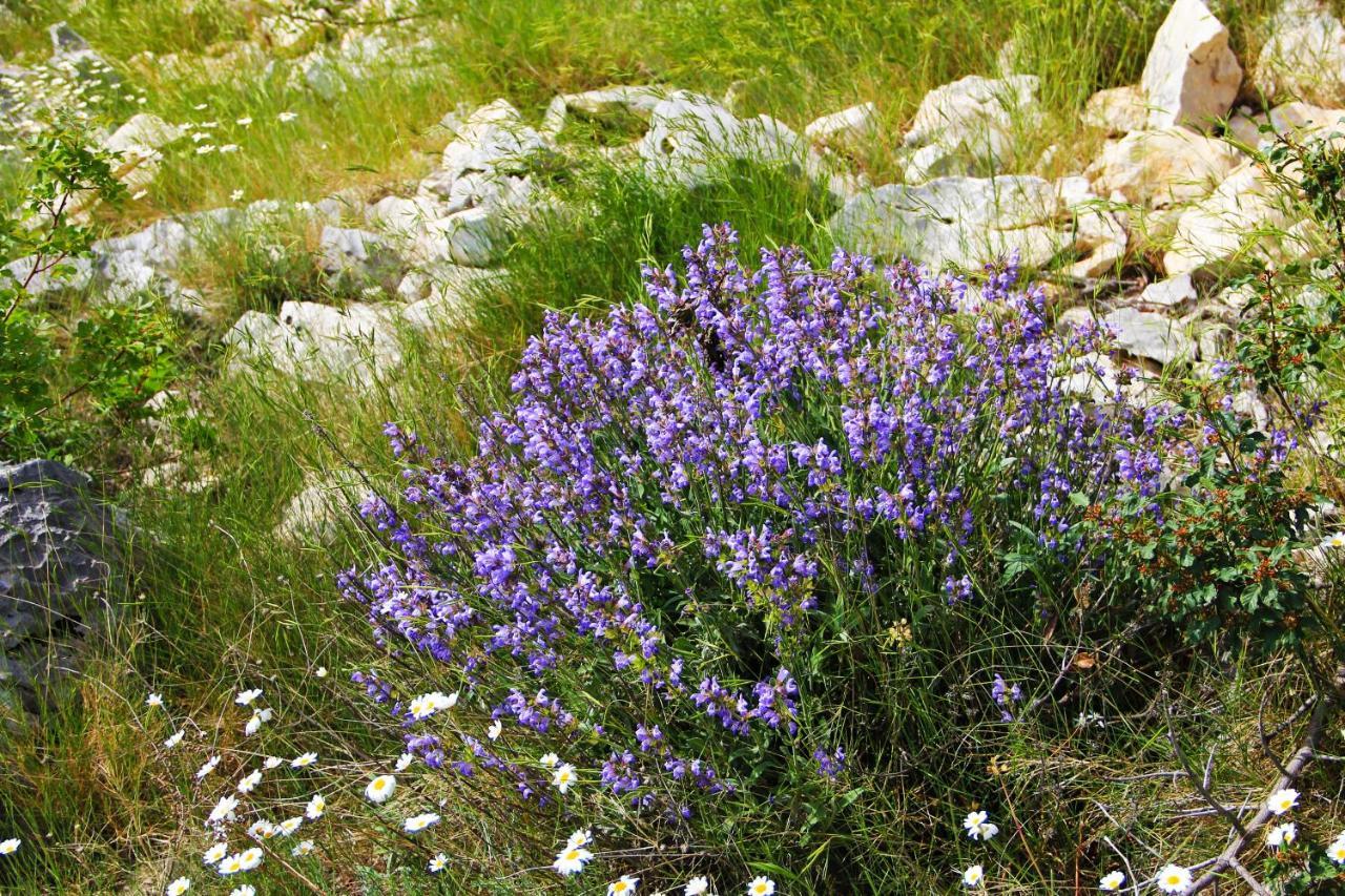 Villa Zlatno Sunce In The Hills Near Trogir Vrsine المظهر الخارجي الصورة
