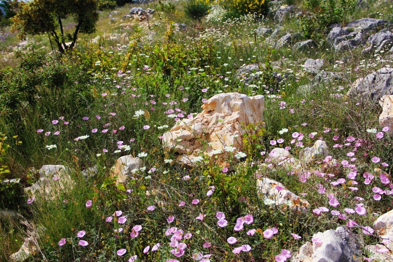 Villa Zlatno Sunce In The Hills Near Trogir Vrsine المظهر الخارجي الصورة